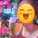 프리맥스투어 이미지