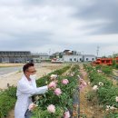 약용작물센터 이미지