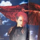 대조-004 이미지