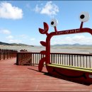 황토갯벌랜드1 이미지