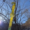 대원주유소 | 2026,1,24 오르Go 함양 삼정산 산행