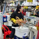 동광회센타 | 동광어시장맛집에서 즐긴 대게 한상🦀 영덕대게센타42호 현장 식사 후기