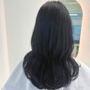 아진로 | 울산 북구 상안동 미용실 헤일로살롱 염색 펌 손상 헤어 클리닉 후기