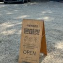 디와이팜 | 몬마켓 과천 희귀 식물 마켓 후기