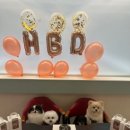 부산애견호텔 댕스스쿨 이미지