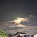 감탄떡볶이 양원점 | [서울/양원] 이나의 생일파티 2 |소믈| 정말 솔직한 후기..!]