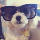 까페 개정촌 이미지