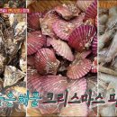 12월 청춘파티 이미지