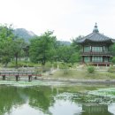 향원정 Daum카페