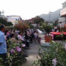 해남군-08 이미지