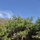 주목정원 이미지