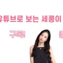 모범세탁소 이미지