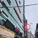 하라점핑 | 홍대 실내 놀거리 액티비티 점핑배틀 홍대점 후기