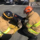 광주광역시야생동물구조관리센터 이미지