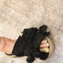 나비네일 이미지