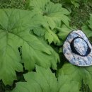 삼종농장 이미지