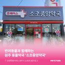 소초중앙약국 이미지