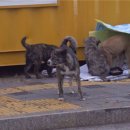 패밀리농장 이미지