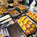 보은농장 이미지