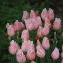 클래식 펜션 이미지