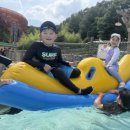 충효예무술관 - 용인시 기흥구 보정로 109 | 충효예무술관