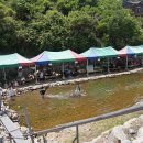 샘터농원 이미지