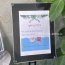 불로초교병설 이미지