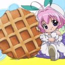 눈의요정Sugar