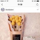 꽃다담 네이버블로그