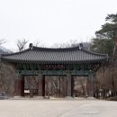 고운사 | 화마가 휩쓸고 간 고운사(의성)