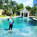 고례원 | Solea Mactan Cebu Resort(솔레아 리조트) 5박6일 이용 솔직 후기 꿀팁 수용장포함