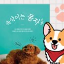 소중한 댕 이미지