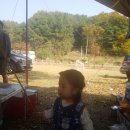 영우농장2 이미지