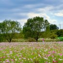 대동생태체육공원 화장실 1 이미지