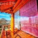 스테이소호헌