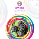 전자담배 다니엘코리아 이미지