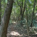 대수산봉 | 제주 동쪽오름, 성산 일출봉 뷰가 한눈에 보이는 대수산봉