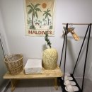 속초해변(중문) 이미지