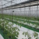 수원시농업기술센터 | 수원시농업기술센터, 2026년 농업기술 보급사업 참가자 모집