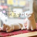 넨네 이미지