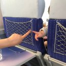 인터라켄 기차 이동(TGV 떼제베, 스위스 패스) | 인터라켄 숙소(12인 도미토리) &#34;퍼니 팜 백패커스&#34; 후기