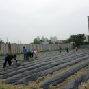 온양4동주민센터 이미지