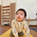 단장면 반려동물지원센터 이미지