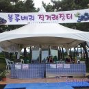 솔향영농조합법인 이미지