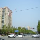 분당-215 이미지