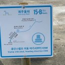 제주 올레길 15코스 A | 애월과 곽지해수욕장을 품은 해안 트레킹 제주 올레길15코스