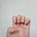 까비네일 이미지