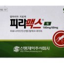 신풍제약- 머니투데이