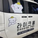 라이크몽 이미지