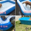 대야2로 이미지